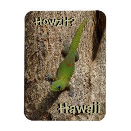 Howzit Hawaii gecko tropiska rektangeln magnet
