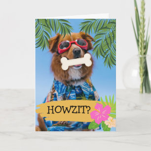 Howzit? Hej hur är det med dig hawaiiansk Hund Kort