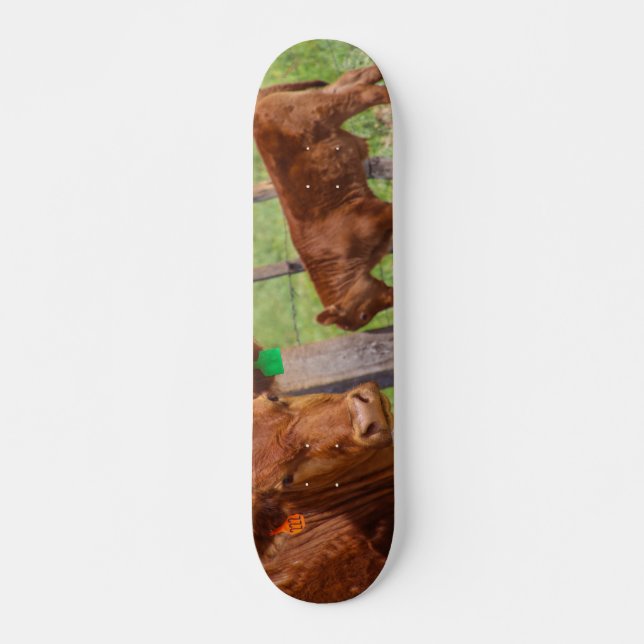 Hoy Cow! Skateboard Bräda 21,5 Cm (Framsida)
