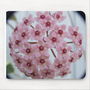 Hoya carnosa Tricolor Mousepad Musmatta