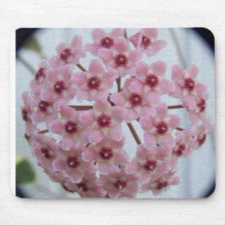 Hoya carnosa Tricolor Mousepad Musmatta