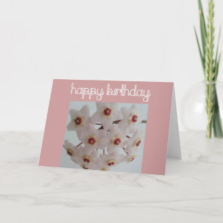 Hoya Flower Birthday Kort