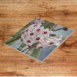 Hoya Plant Flowers Blommigt Kakelplatta<br><div class="desc">Keramiskt plattor med foto av söten,  små blommor från Hoya Plant,  kallas vanligtvis Vax Plant. En underbar,  blommigt design! Markera din ruta storlek. Gör en underbar kökstrivet!</div>