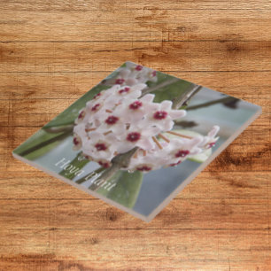 Hoya Plant Flowers Blommigt Kakelplatta