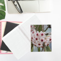 Hoya Växt Blommor Blommig Anteckningsbok
