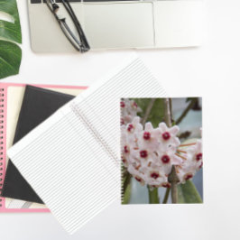 Hoya Växt Blommor Blommig Anteckningsbok