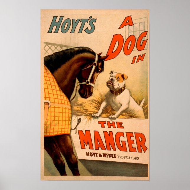 Hoyt är en hund i Manger Theater Poster (Framsidan)