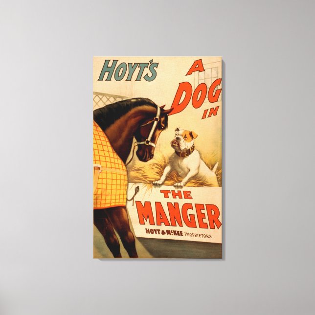 Hoyt är en hund i Manger Theater Poster Canvastryck (Framsida)