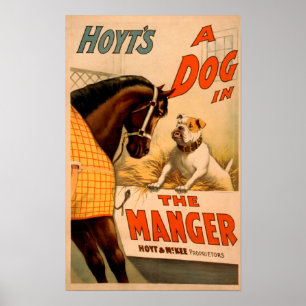 Hoyts a-hund i MangerTheatreaffischen Poster