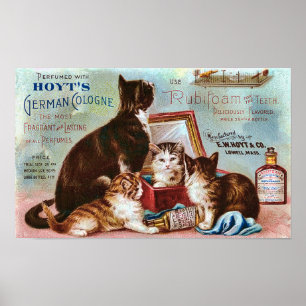 Hoyts Vintage i Köln Poster