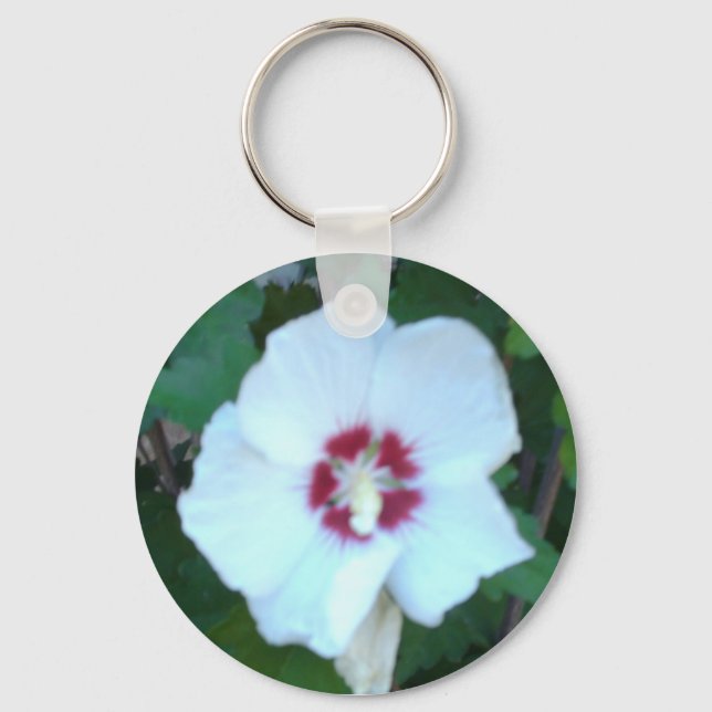 HPIM0580 NYCKELRING (Framsida)