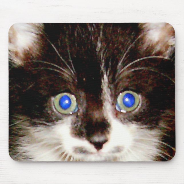 HPIM0940 MUSMATTA (Framsidan)