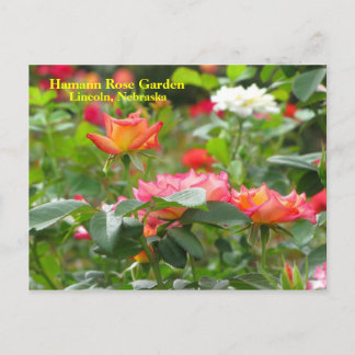 HRG-vykort nr 300n 0300 Vykort