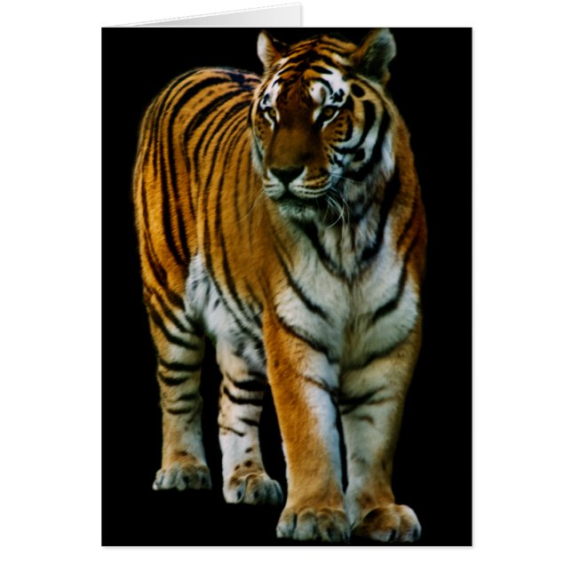 Hu Lin-kort OBS Kort (Framsidan)