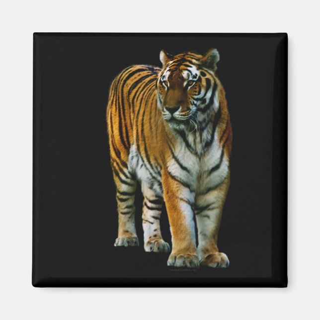 Hu Lin Magnet (Framsidan)