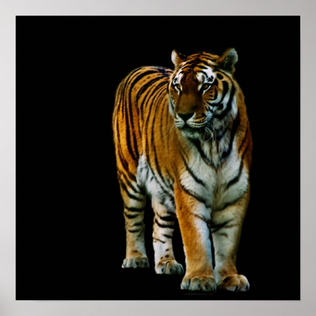 Hu Lin Print Poster (Framsidan)