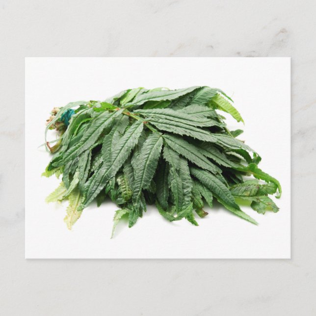 Huacatay Vykort (Framsida)