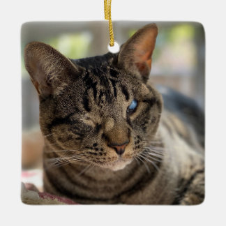 Hubble den blinda katten-ornament julgransprydnad keramik