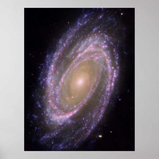 Hubble - Galex - Spitzer Composite Image of M81 Poster (Framsidan)