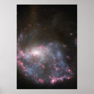 Hubble Sees a Galaxy Slå a Bull's-Öga Poster