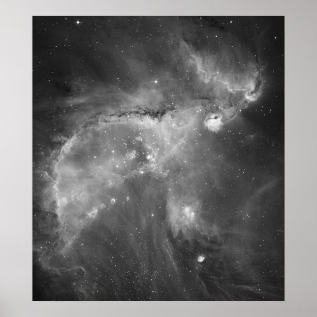 Hubble's Black and White View of the Universe Poster (Framsidan)