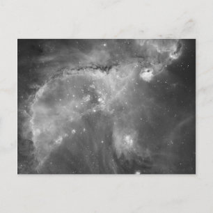 Hubble's Black and White View of the Universe Vykort
