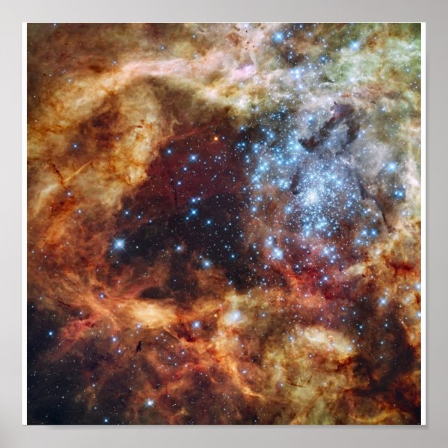 Hubble's Festive View of a Grand Star-Forming Regi Poster (Framsidan)