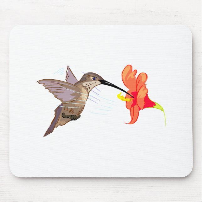 Hubert Hummingbird Musmatta (Framsidan)