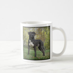 Hudson - jag älskar min groptjurTerrier! Mugg