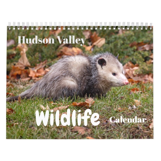 Hudson Valley Wildlife Calendar Kalender (Omslag)