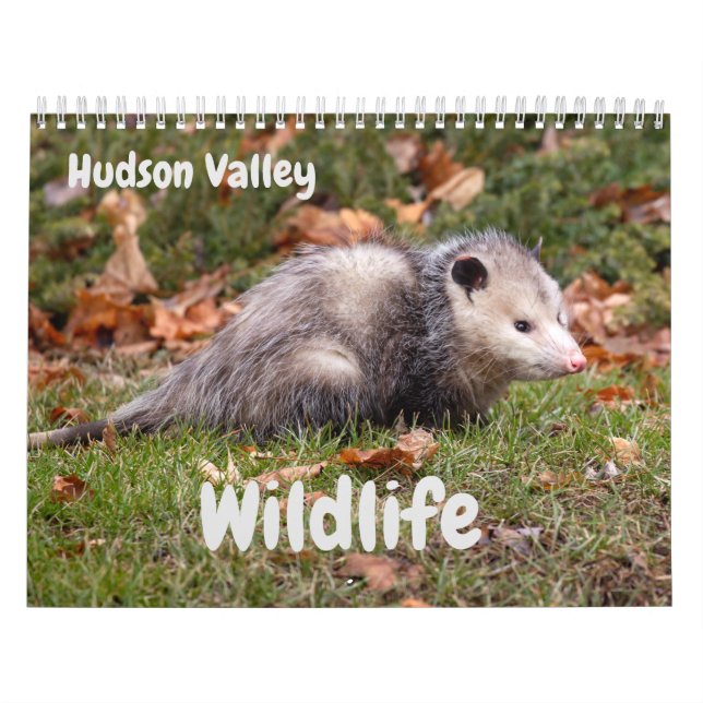 Hudson Valley Wildlife Kalender (Omslag)
