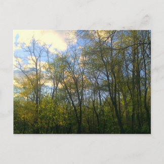 Hudson Vally, NY Vykort