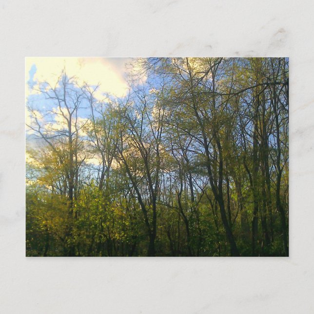 Hudson Vally, NY Vykort (Framsida)