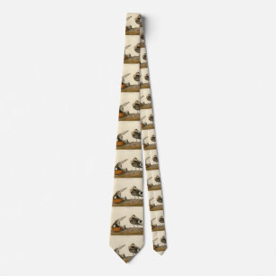 Hudsonic Godwit från Audubon's Birds of America Slips