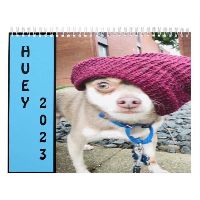 Huey 2023 Wall Calendar Kalender (Omslag)