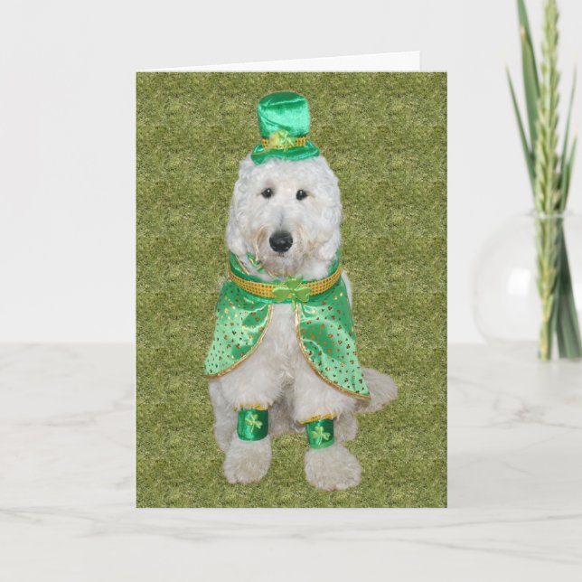 Huey McGoldendoodle St Patrick dagkort Kort (Framsida)