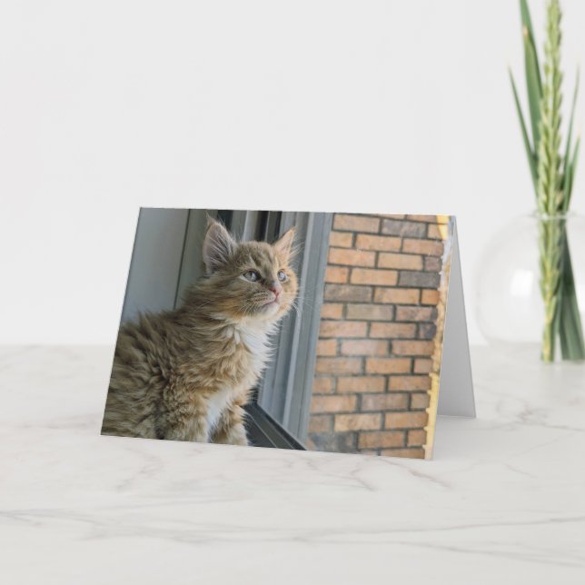 Huey tittar ut mot världen kort (Framsida)