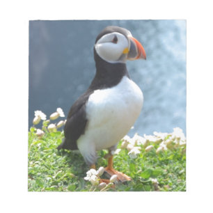 Huffin Puffin Anteckningsblock