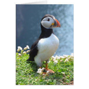 Huffin'Puffin Hälsningskort
