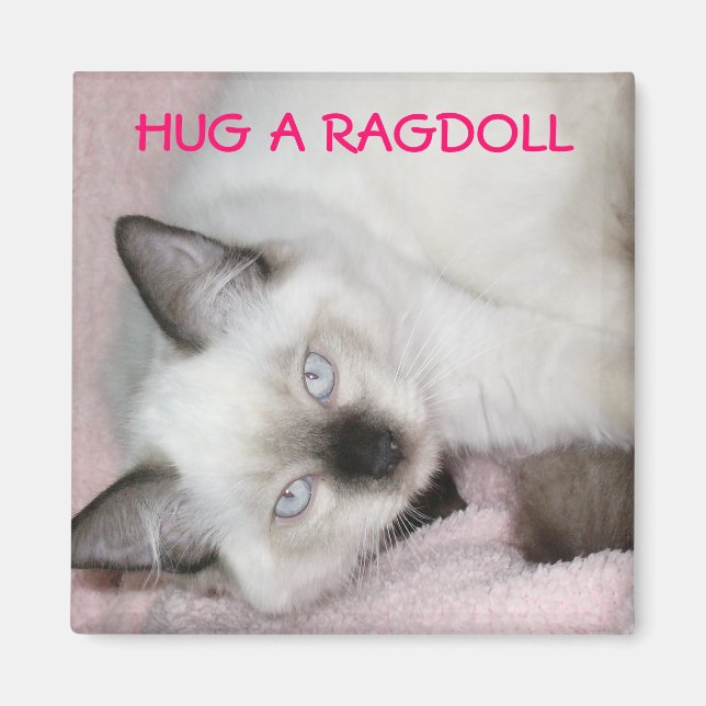 HUG A RAGDOLL MAGNET (Framsidan)