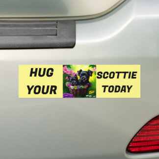 Hug din skotska idag bildekal