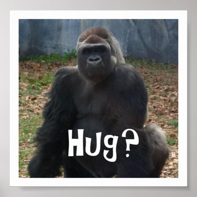 Hug? Gorilla Poster (Framsidan)