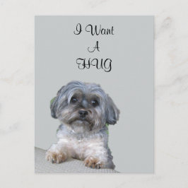 Hug Hund-vykort Vykort
