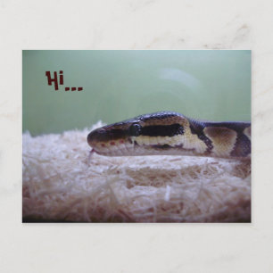 HUG VYKORT