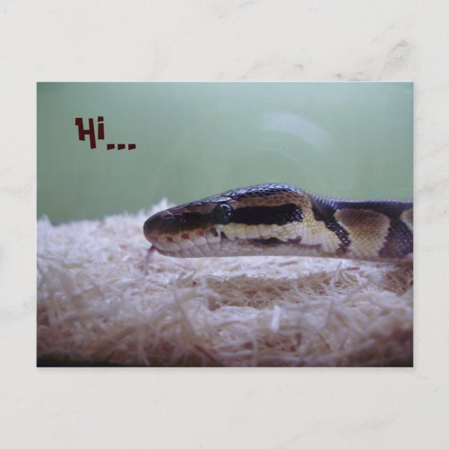 HUG VYKORT (Framsida)