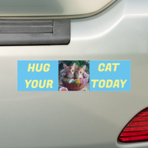 Huga din katt idag bildekal