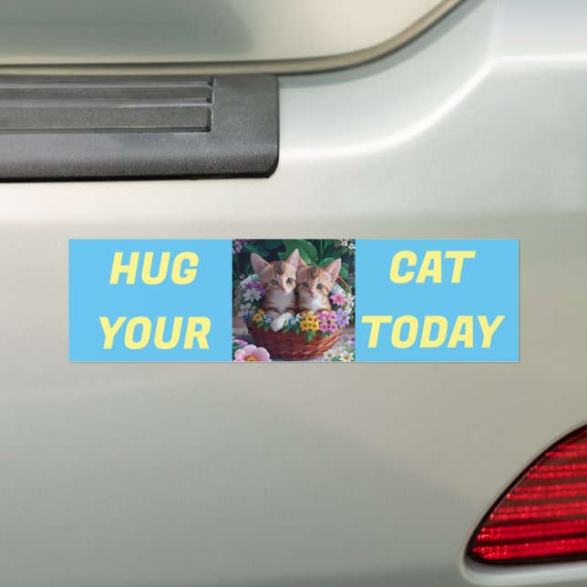 Huga din katt idag bildekal (På Bil)