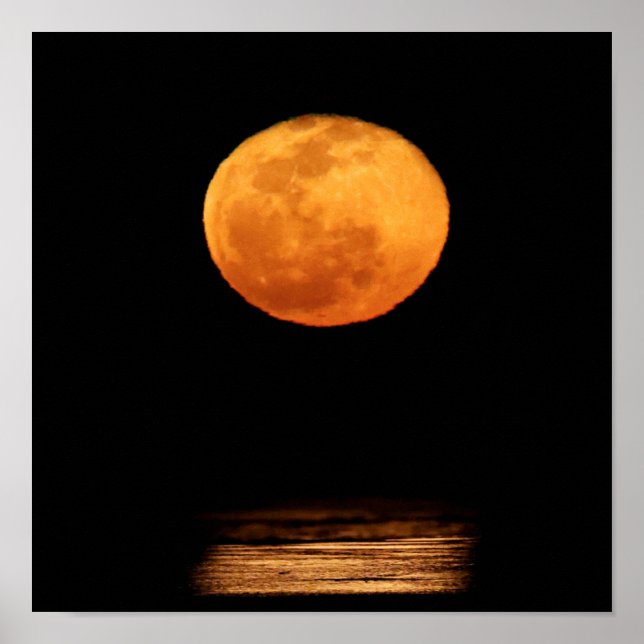 Huge Full Moon | South Padre Island, Texas Poster (Framsidan)