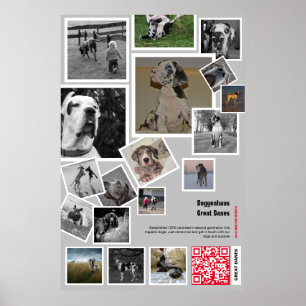 Huge Great dane Puppy att sälja Poster