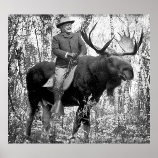 Huge Teddy Roosevelt Riding A Bull Moose Poster (Framsidan)